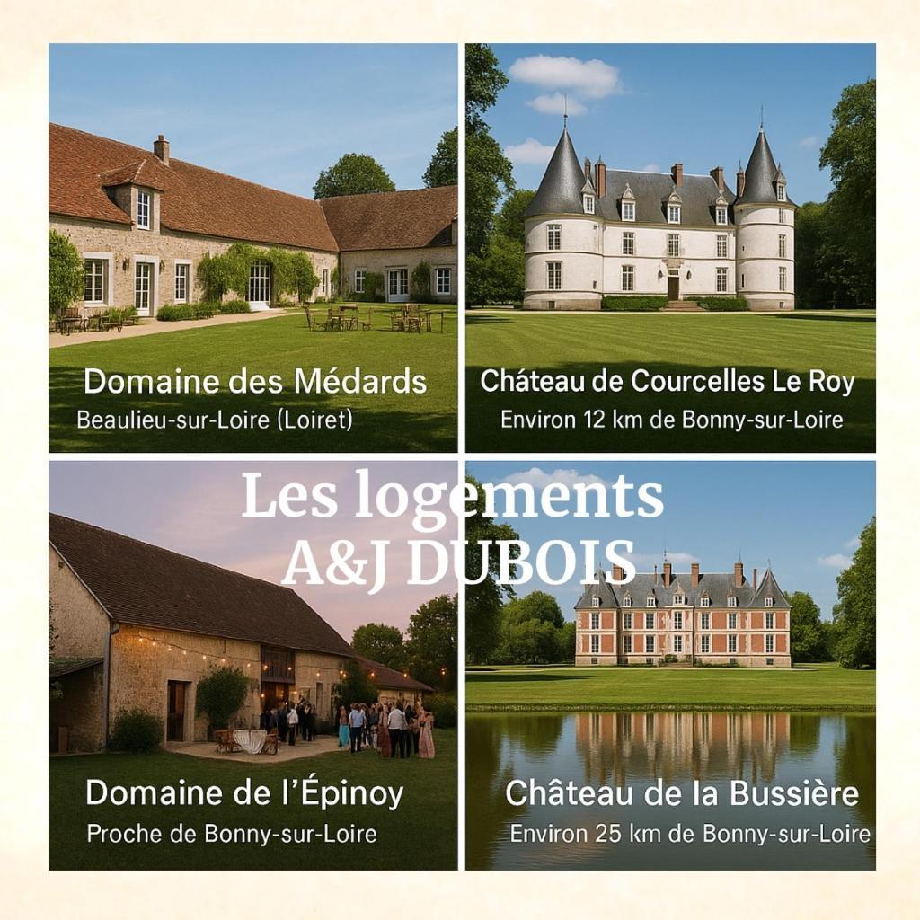 Villa A&J Family - Neuvy Sur Loire - Guedelon Esterno foto